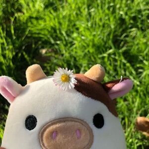 Ronnie the cow Squishmallows™ 7.5in NWT🤠🐄